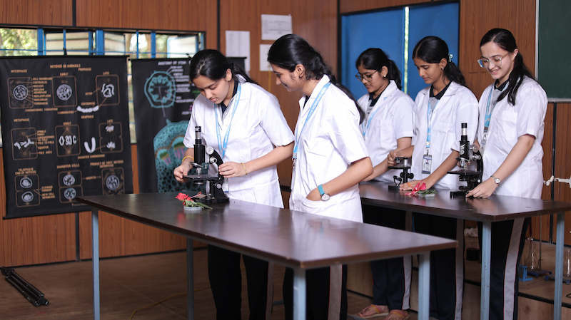 Labs